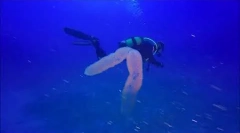 Salps - alien rođaci neke osobe